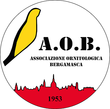 Associazione Ornitologica Bergamasca